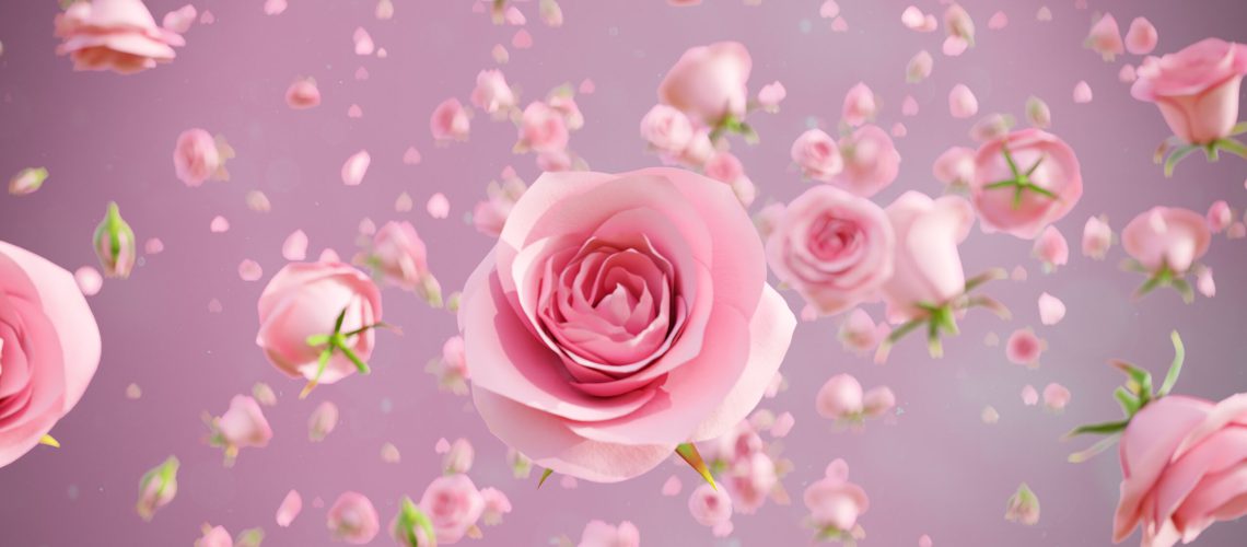 Roses blossom and petals pink around main pink rose at the center with 3d rendering.Sweet and lover background graphic.